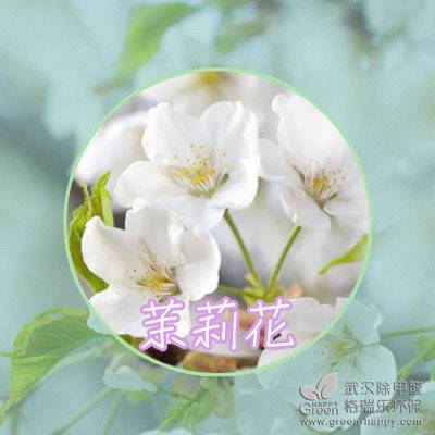 ֲNֲɣmNֲ҃(ni)՚ֲ҃(ni)ȩֲhȩGֲB(yng)o(h)